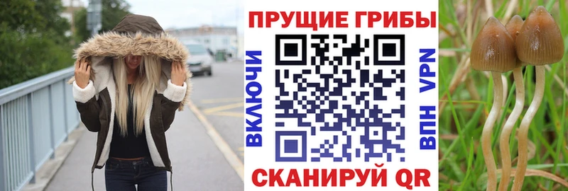 Галлюциногенные грибы мицелий  ОМГ ОМГ сайт  Мышкин 