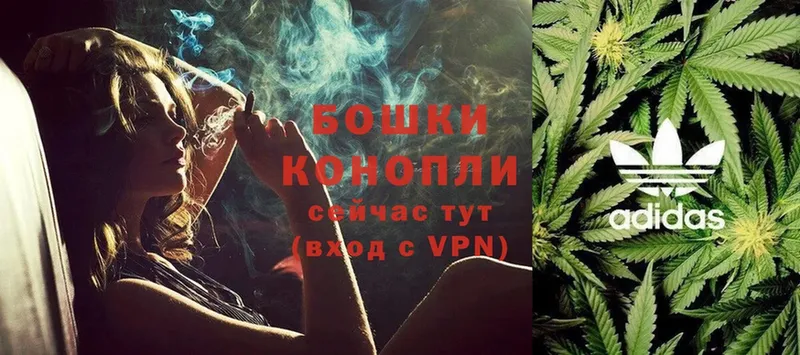 Конопля OG Kush  Мышкин 